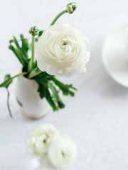 White ranunculus flower blooms from above on a white table