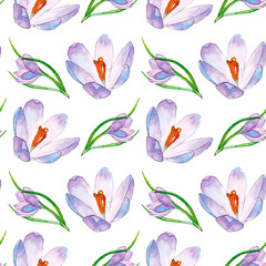 Seamless pattern of hand drawn crocus flowers aquarelle illustration
