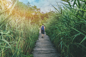 people walking on the wooden footbridge through the reeds. croatia plitvice