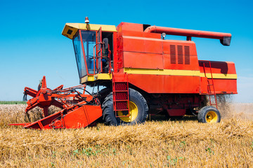 Fototapeta premium Combine harvesting in a field of golden wheat.