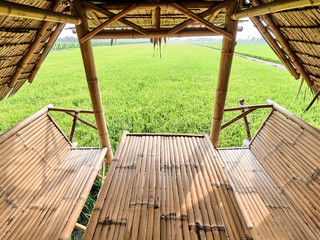 the small hut in rice fields