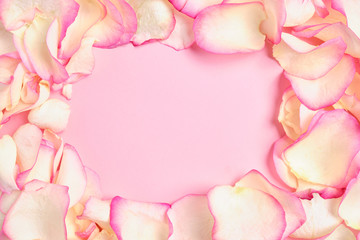 Background of beautiful white rose petals pink color with copy space. Close up.