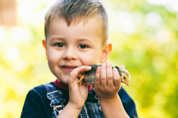 Portrait of little boy with chick outdoors at the day time. Concept of happy life.