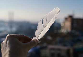 Feather in hand on the sky background.