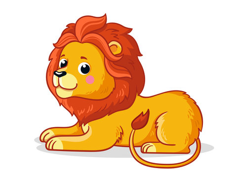 Cute young lion is sitting on a white background.