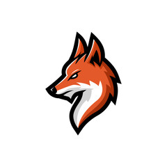 Fox head mascot logo vector illustration, with a wise eye look, suitable for the sports team mascot logo, e sport team etc.