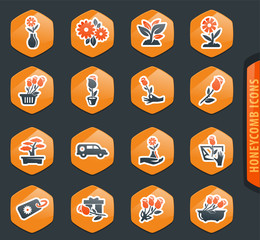 Flower icon set