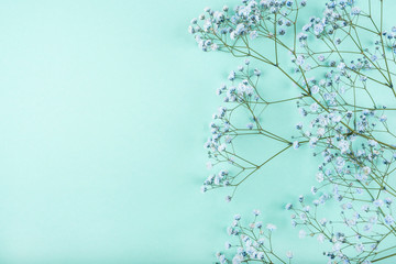 Beautiful flower background of blue gypsophila flowers.