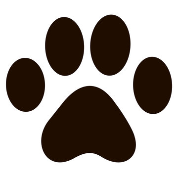 Paw Print isolated on  white background. Paw print icon. Vector illustration