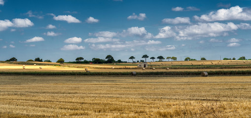 Obraz premium Rural landscape in Apulia at summer