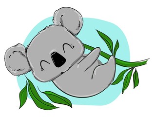 Hand drawn cute koala and eucalyptus. Childish illustration vector.