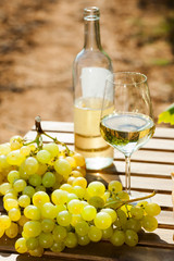 still life with glass of White wine grapes and bread on table in field