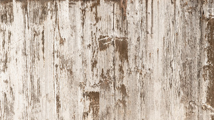 old white painted exfoliate rustic bright light wooden texture - wood background shabby