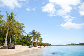 Naklejka na ściany i meble White sand beach and palm trees. Caramoan Islands, Philippines.