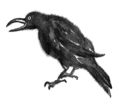 Black raven illustrated with ink on a white background. Image of a bird, crow, jackdaw, magpie. Occultism, occultism, mysticism, shamanism, symbol, magic. Chinese style, oriental.