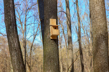 nesting box mounted on the tree
