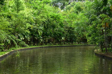 landscape of public park in the morning with view of water small pond