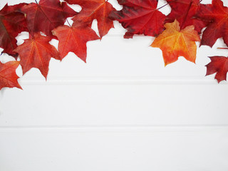 autumn forest with maple trees on wooden background
