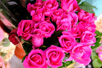 bouquet of pink roses