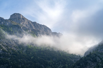 Fog revealing the mountain, Ligurian Alps, northwestern Italy
