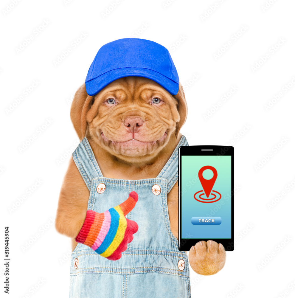 Poster Smiling puppy wearing a blue cap and overalls holds smartphone with tracking symbol and shows thumbs up. Tracking concept. Isolated on white background