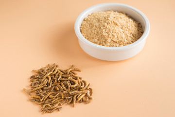 Worm meal flour in brown background