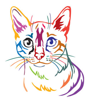 Colorful decorative portrait of Cat 8