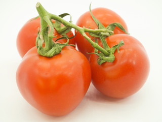 tomatoes isolated on white background