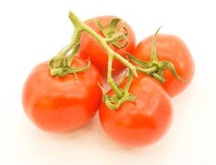 tomatoes isolated on white background