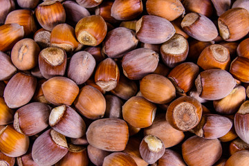 Pile of the hazelnuts for background. Healthy eating