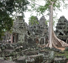 Fototapeta premium Ancient temple complex, big tree overgrow the old Stones and some tourists Walking in the building