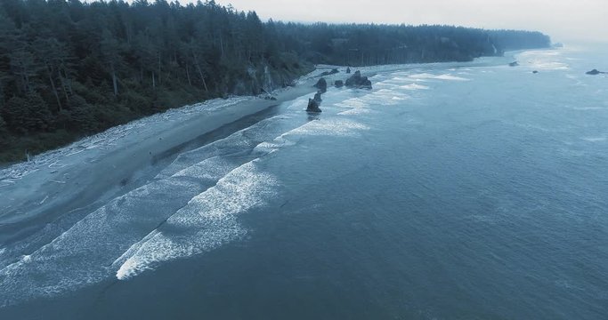 Aerial shot of dense dark forest and rocks on the ocean coast under a haze of fog at Ruby Beach, Olympic National Park, Washington, USA