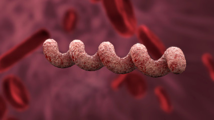 Treponema pallidum bacteria with blood cell background 3d rendering