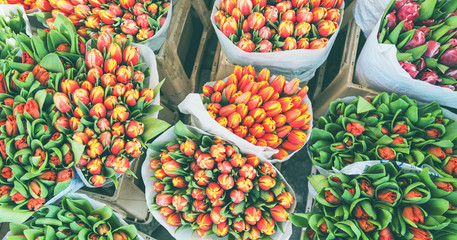 assortment colorful fresh tulips at street flowers market