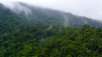 Fototapeta premium Mountain peaks in a tropical climate. Mountains covered by rainforest, aerial view. Highlands on Luzon Island, Philippines.