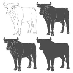Set of black and white illustrations with a bull, a cow. Isolated vector objects on a white background.