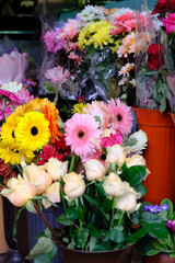 colorful flower bouquet of flowers