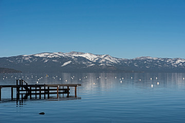 Lake Tohoe