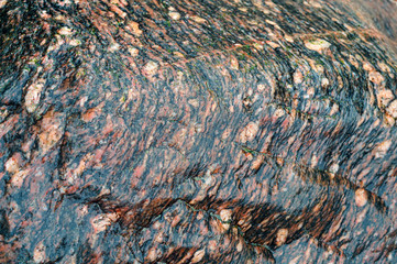 Sea stone texture. Panel texture. Spots gray red background. Background fill. Natural stone background.