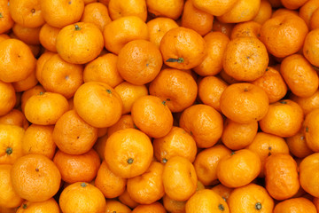 Bunch of fresh Kiat Kiat or Mandarin Oranges