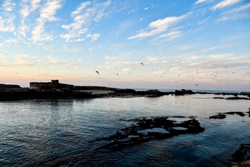sunset on sea, photo as background