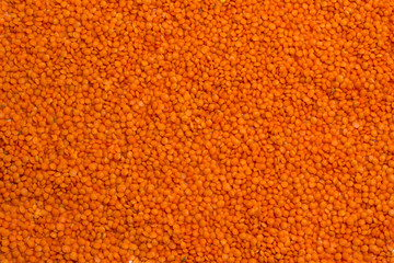 Red lentils source of vegetable protein and omega-3