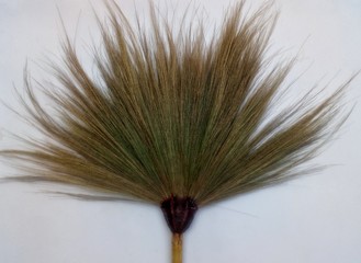 House cleaning equipment .. Broom made from dried flowers ... made by hand.