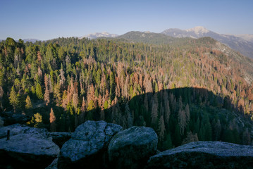 Moro Rock is a granite dome rock formation in Sequoia National Park, California, United States