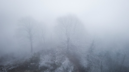 Obraz na płótnie Canvas Winter - Nebel auf der Schwäbischen Alb