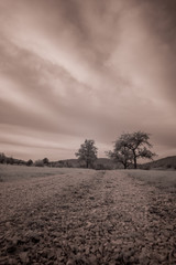 Landschaft in Infrarot