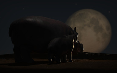Father Hippopotamus with his calf enjoying the view of moon at night 3d rendering