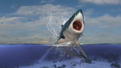 Horizontal view of great white shark jumping and breaching out of water line half underwater view...