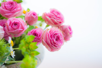 ピンクのバラ バラのブーケ 右にコピースペース 白背景 00806_DSC_9495