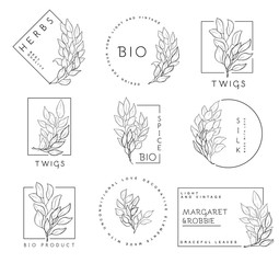 Fototapeta premium Leaf symbols, logos, icons and signs collection. Set of floral design elements.